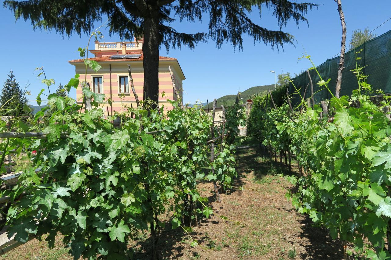 Villa Vincenza Валло-делла-Лукания Экстерьер фото